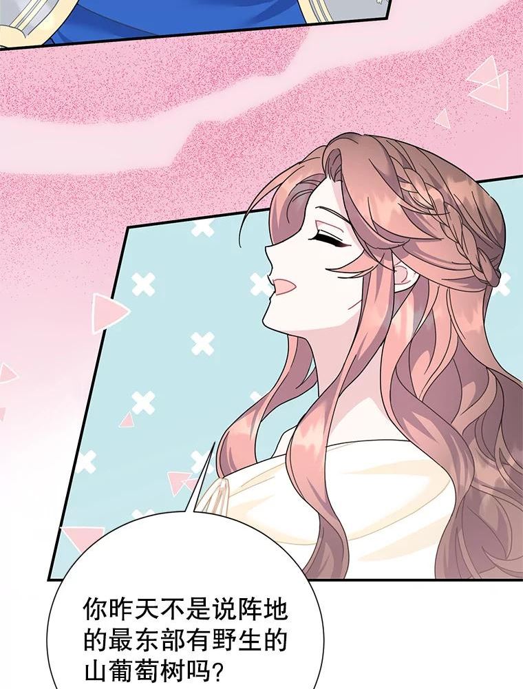 传令鸟公主殿下漫画,63.法拉尔的命令42图