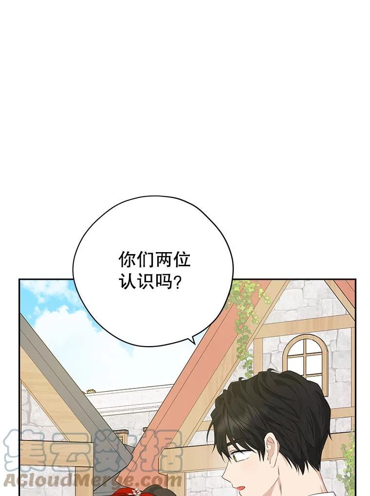 真与假的精灵师少女漫画,72.敌意49图