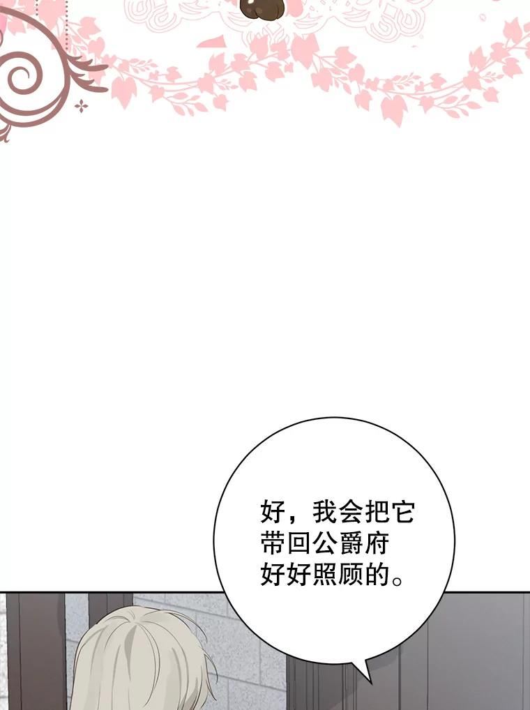 真与假的精灵师少女动漫在线漫画,69.一石二鸟11图