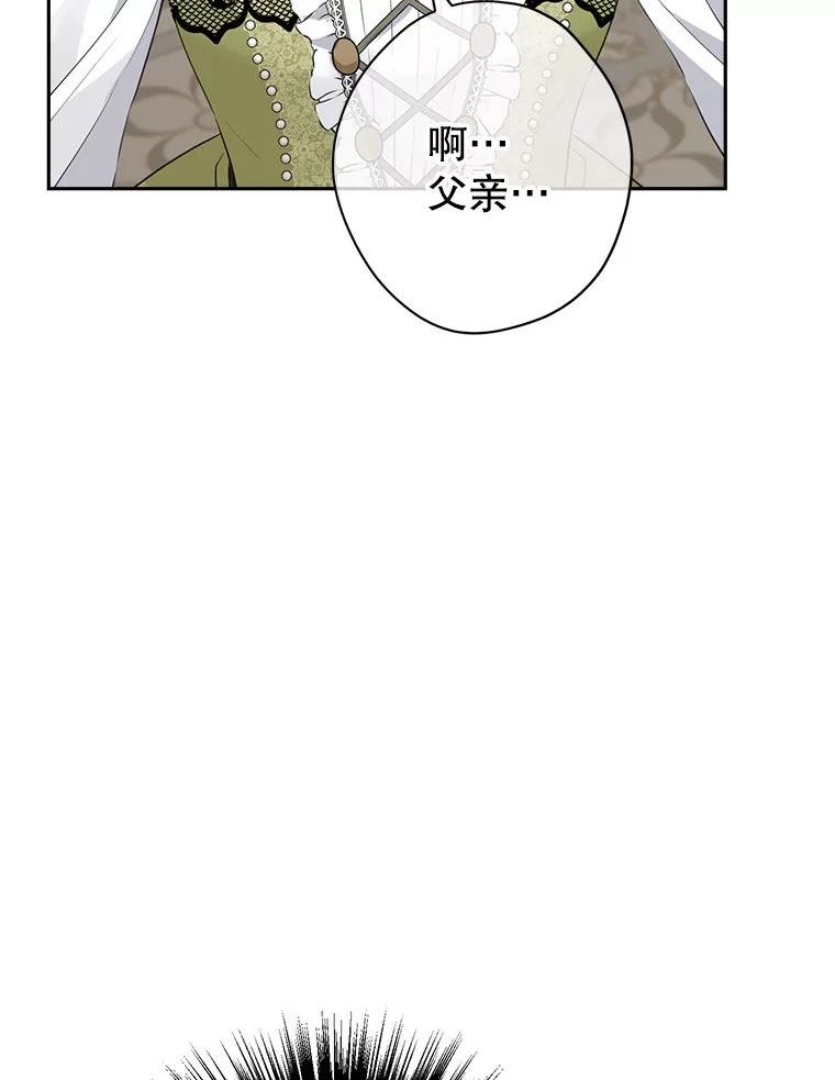 真与假的精灵师少女漫画,70.加油，副团长！28图