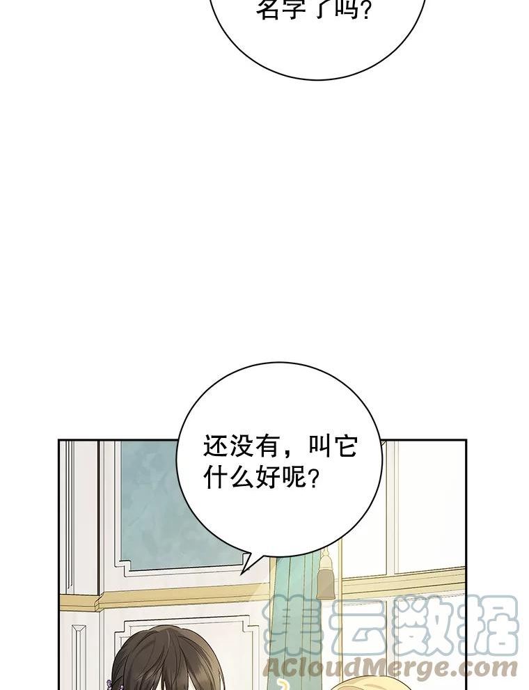 真与假的精灵师少女漫画,70.加油，副团长！65图