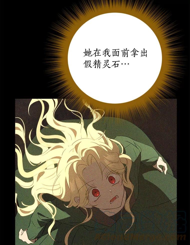 真与假的精灵师少女动漫在线漫画,78.探寻真相13图