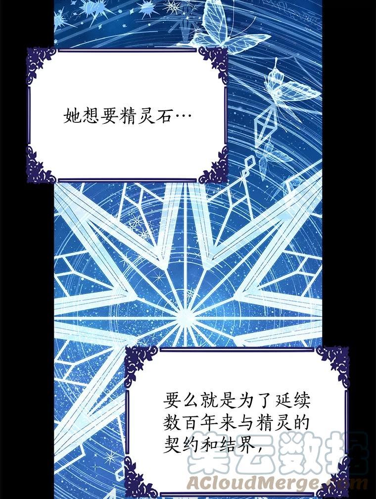 真与假的精灵师少女动漫在线漫画,78.探寻真相61图