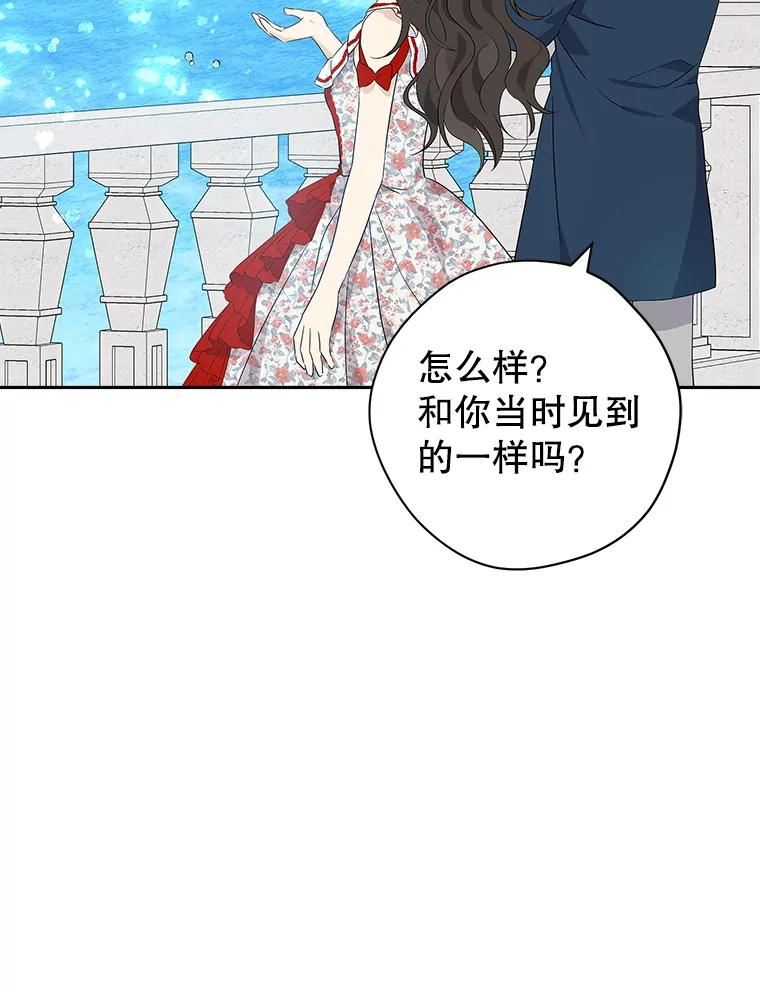 真与假的精灵师少女漫画,74.安慰78图