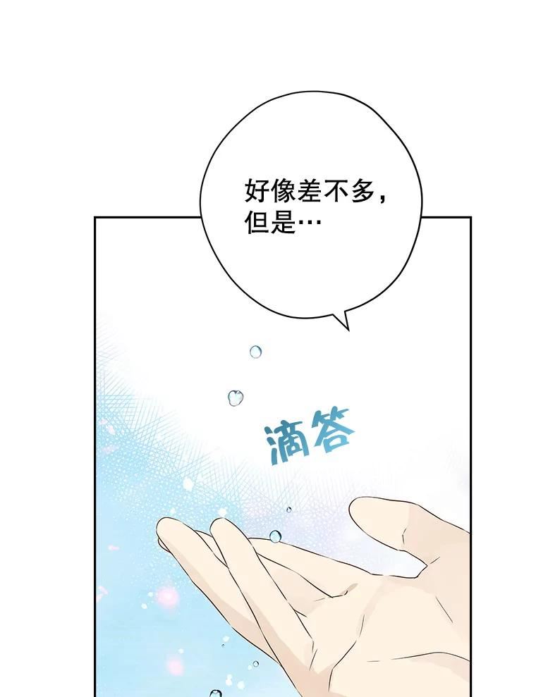 真与假的精灵师少女漫画,74.安慰79图