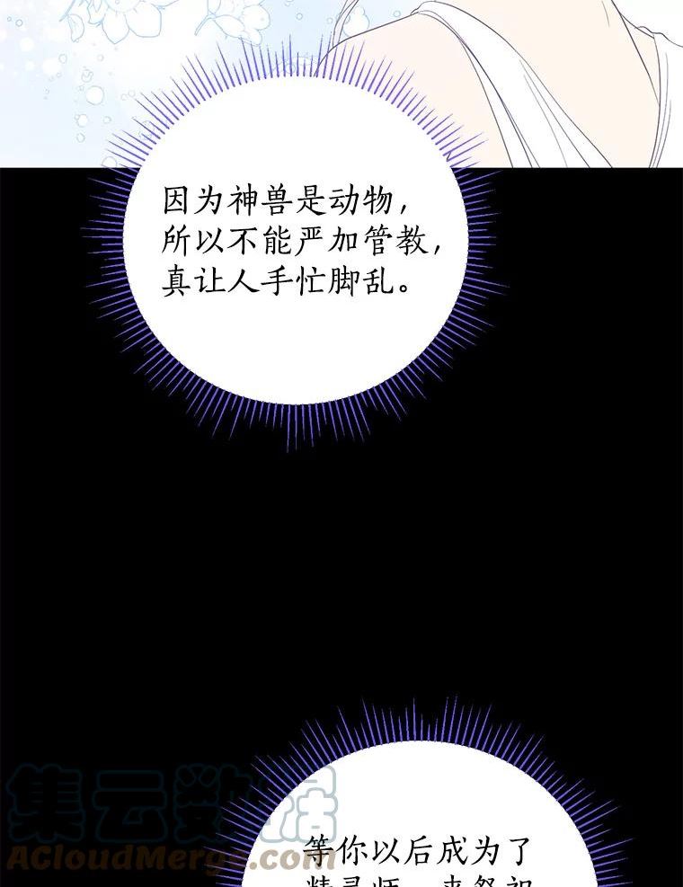 真与假的精灵师少女动漫在线漫画,64.神兽和神物16图