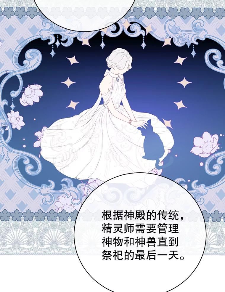 真与假的精灵师少女动漫在线漫画,64.神兽和神物24图