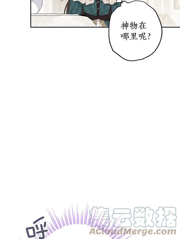 真与假的精灵师少女动漫在线漫画,64.神兽和神物40图