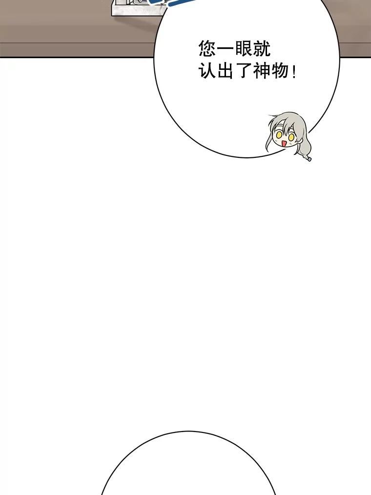 真与假的精灵师少女动漫在线漫画,64.神兽和神物42图