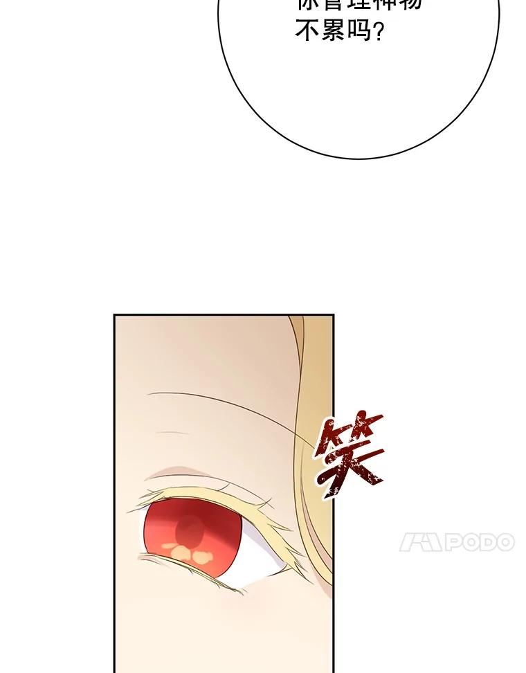 真与假的精灵师少女动漫在线漫画,64.神兽和神物86图