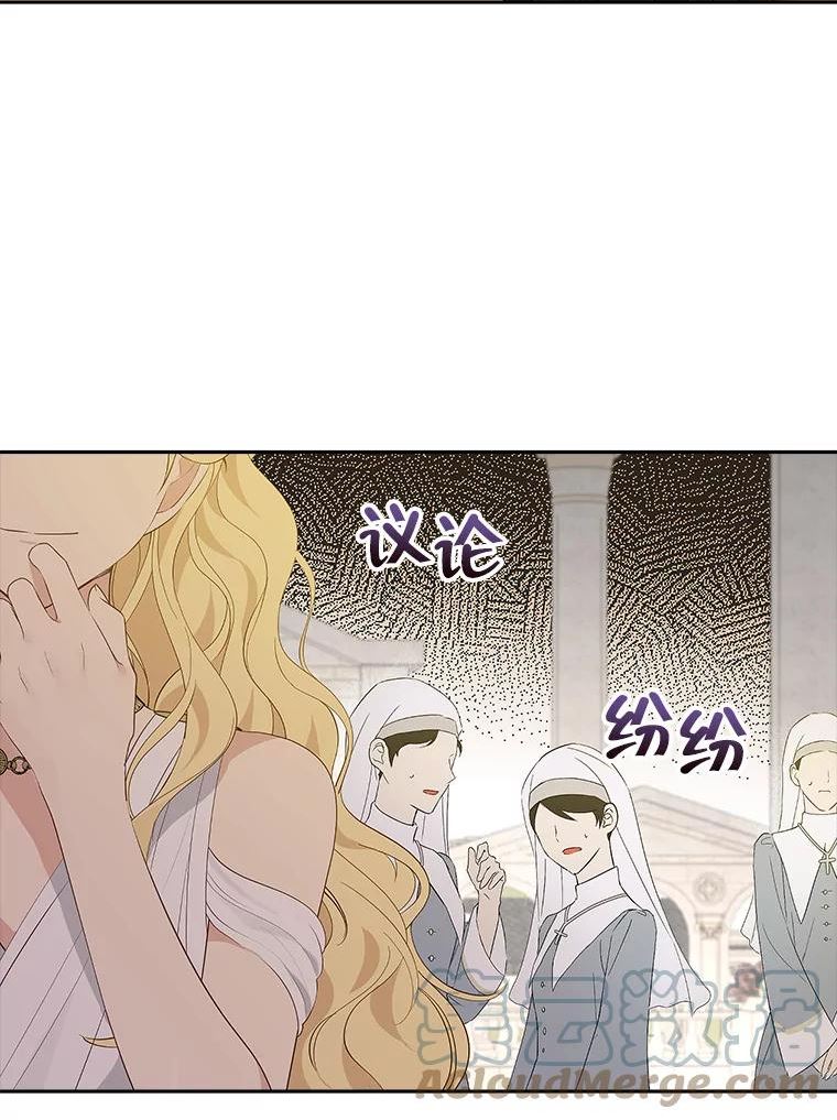 真与假的精灵师少女动漫在线漫画,64.神兽和神物91图