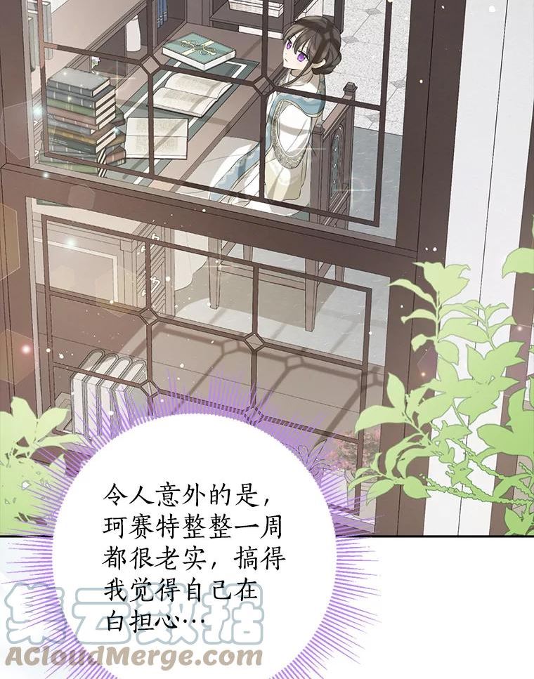 真与假的精灵师少女漫画,65.埋伏53图