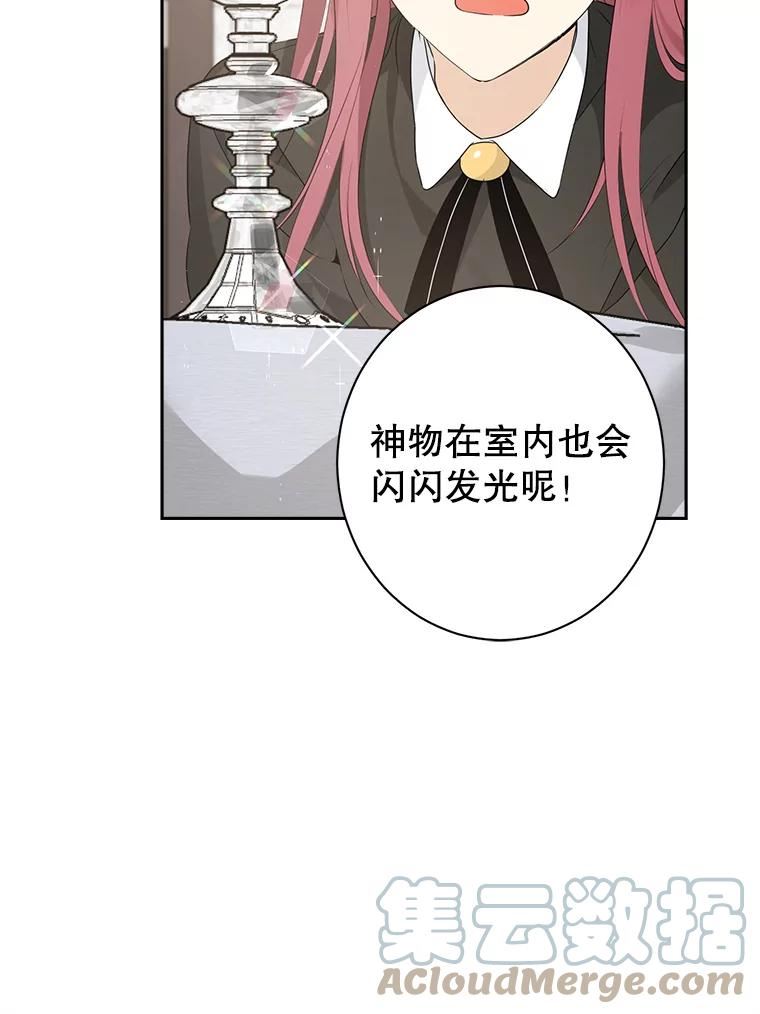 真与假的精灵师少女漫画,65.埋伏89图