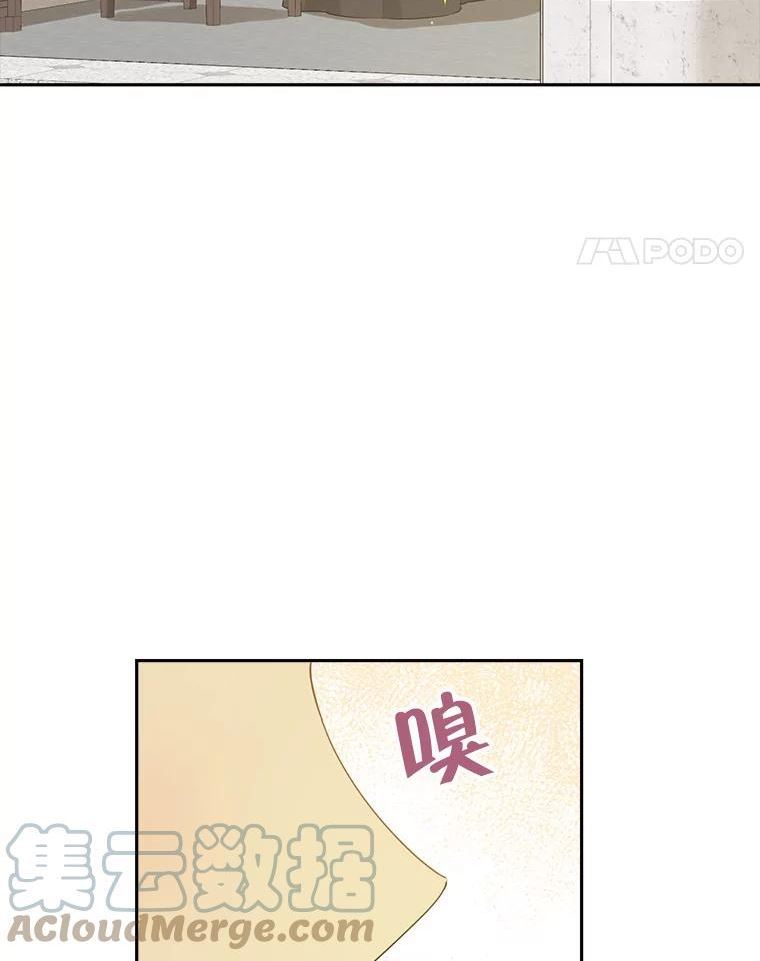 真与假的精灵师少女漫画,65.埋伏97图