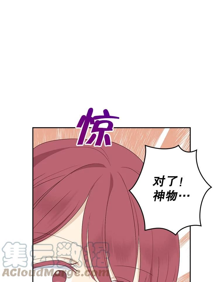 真与假的精灵师少女动漫在线漫画,66.神物与阴谋22图