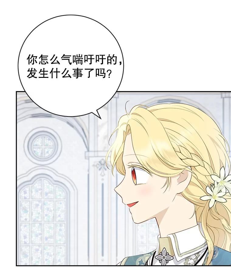 真与假的精灵师少女漫画,67.反转18图