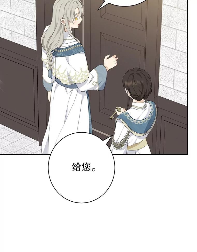 真与假的精灵师少女漫画,67.反转51图