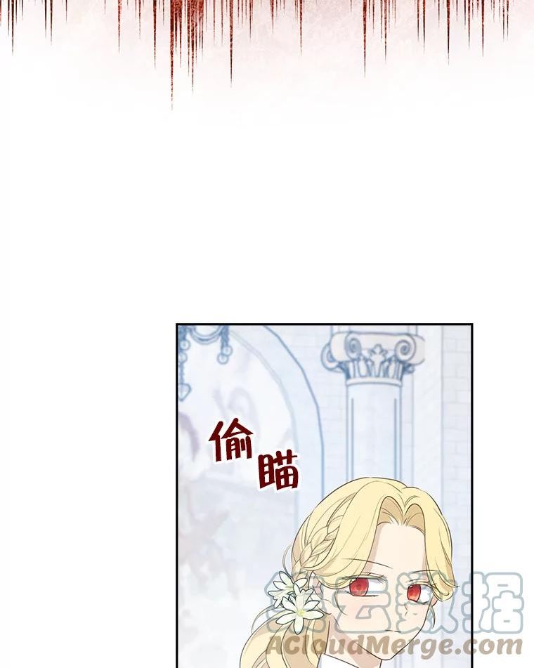 真与假的精灵师少女漫画,67.反转67图