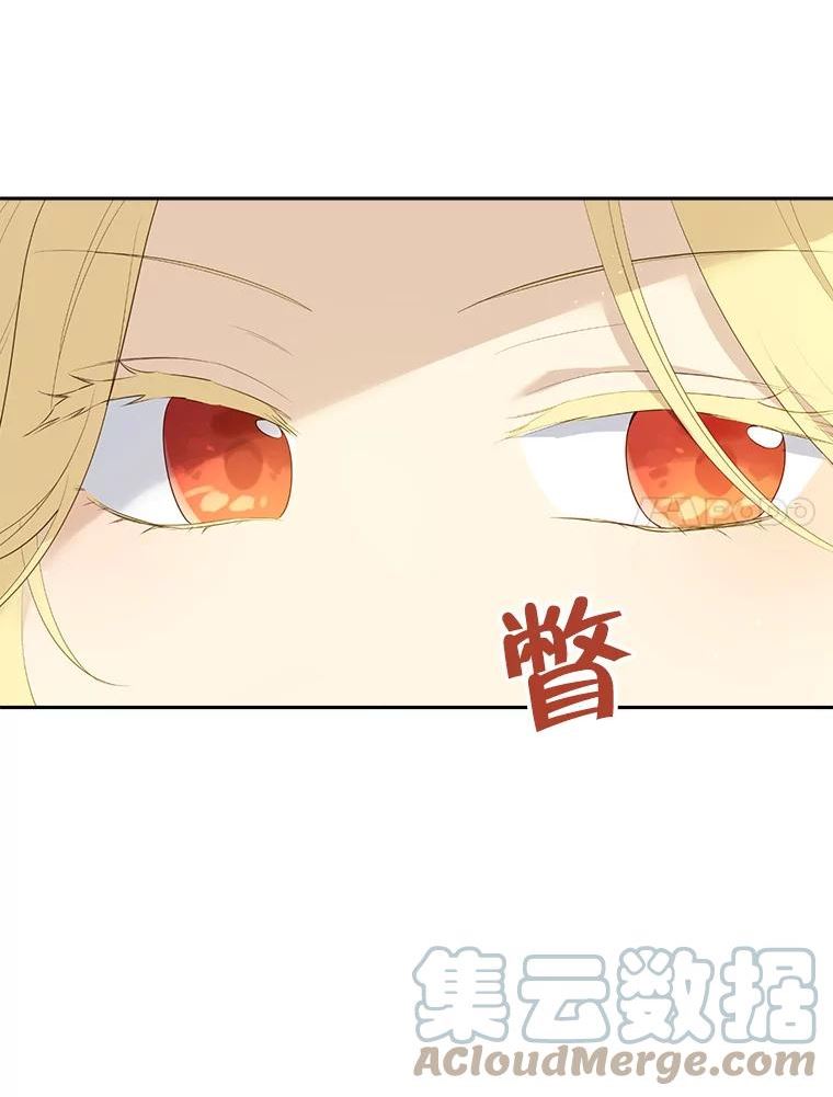 真与假的精灵师少女漫画,67.反转7图