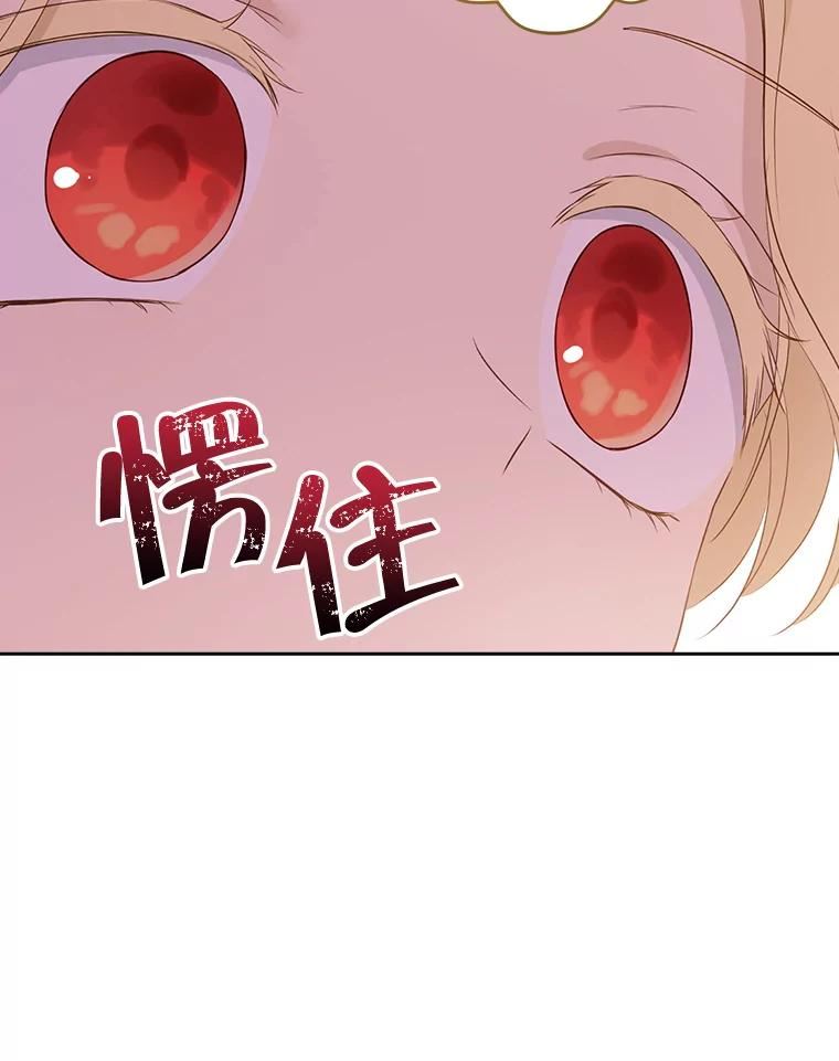 真与假的精灵师少女漫画,67.反转74图