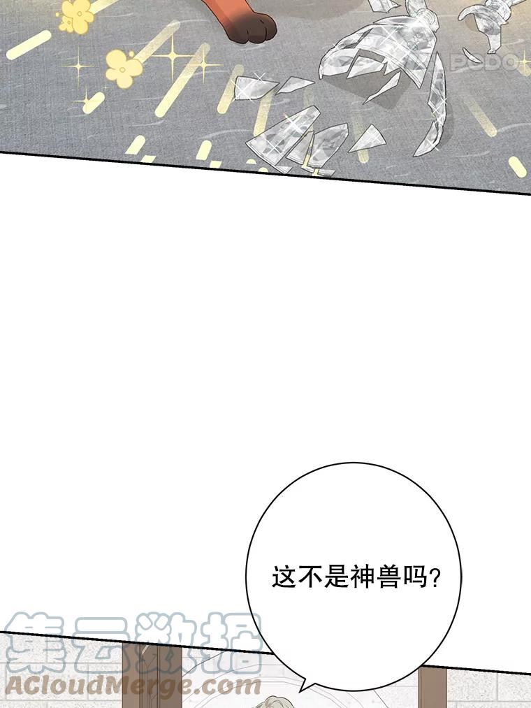 真与假的精灵师少女漫画,67.反转76图