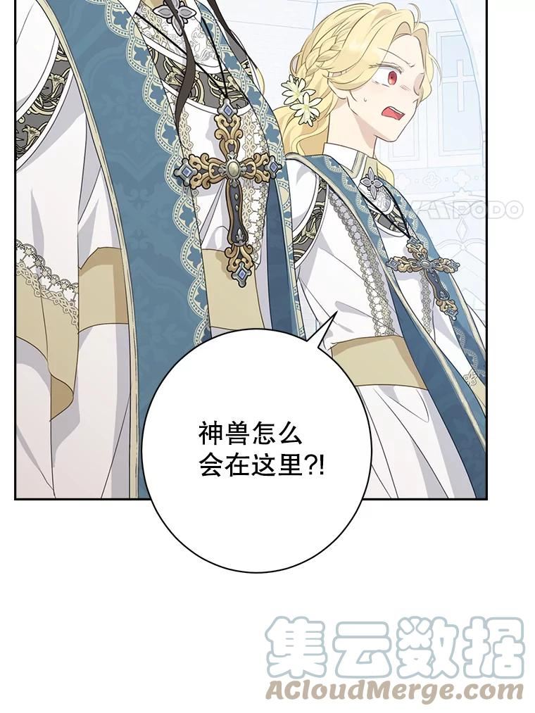 真与假的精灵师少女漫画,67.反转79图