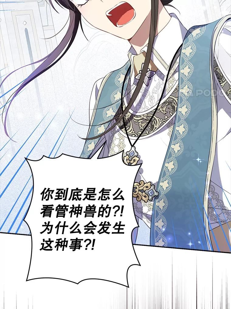 真与假的精灵师少女漫画,67.反转95图