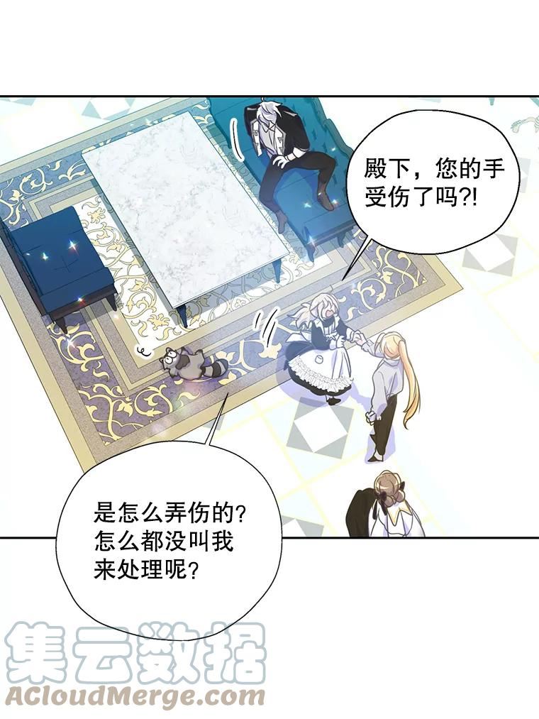 漂亮陛下别杀我漫画,52.去见姑姑16图