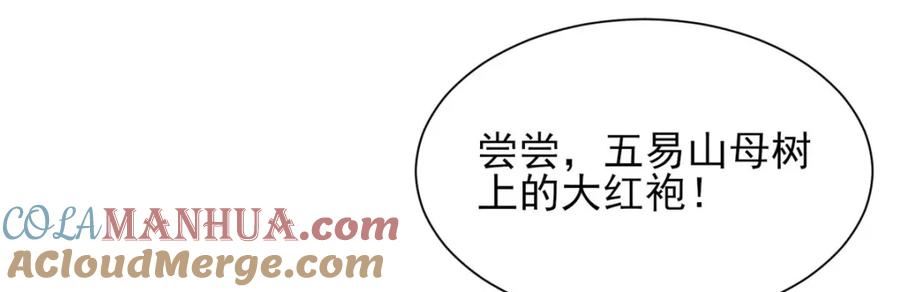 摊牌了我全职业系统340话漫画,530 优点，就是听话7图