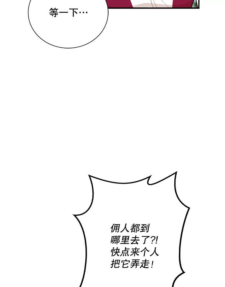 反派的继母38漫画,67.卡丽娜和猫26图