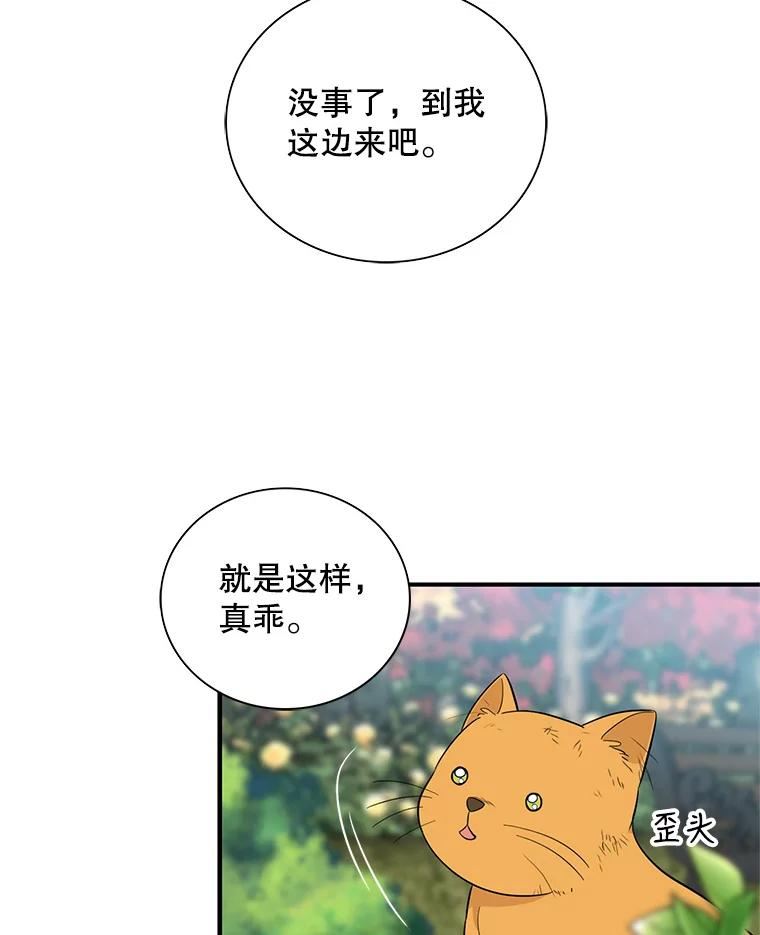 反派的继母38漫画,67.卡丽娜和猫50图