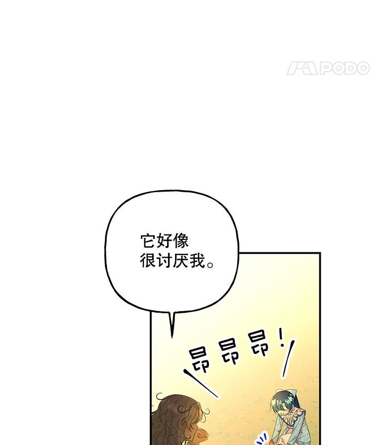 大魔法师的女儿免费观看漫画,101.风系魔法12图