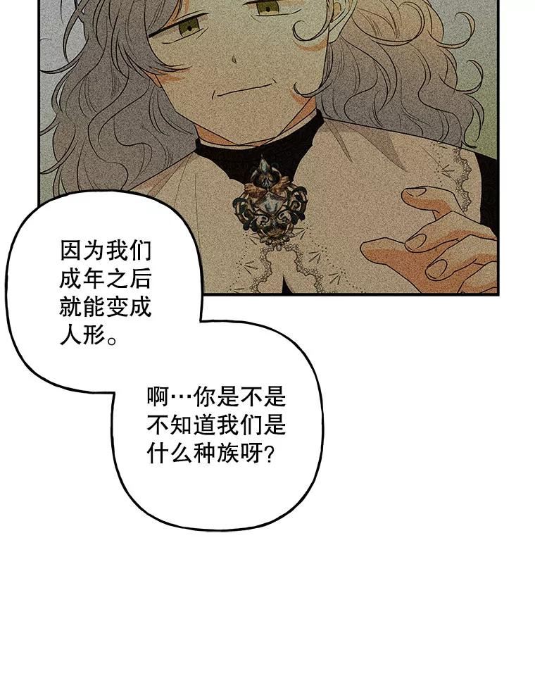 大魔法师的女儿免费奇妙漫画漫画,114.逃离78图