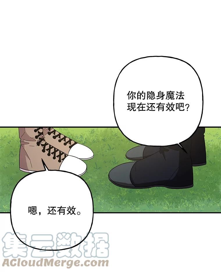 大魔法师的女儿漫画,116.引开敌人16图