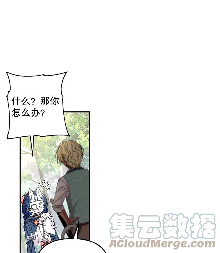 大魔法师的女儿漫画,116.引开敌人19图