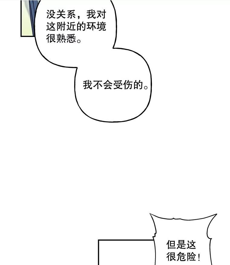 大魔法师的女儿漫画,116.引开敌人20图