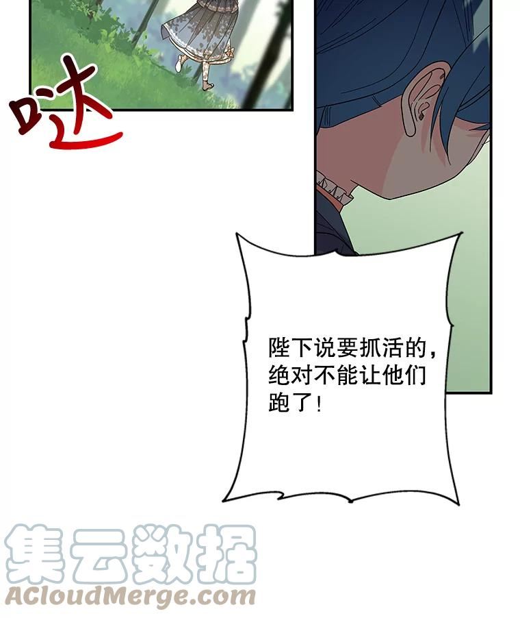 大魔法师的女儿漫画,116.引开敌人34图