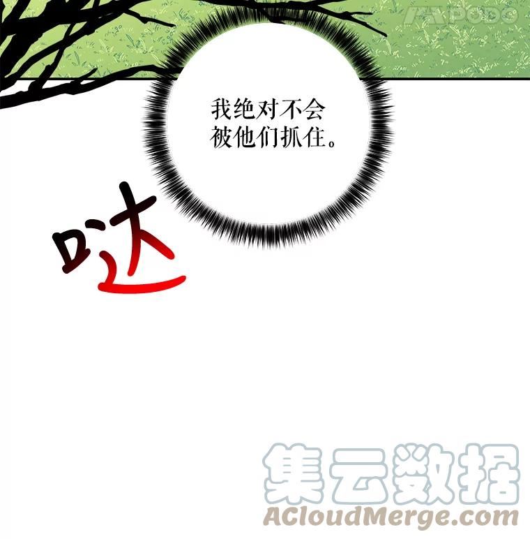 大魔法师的女儿漫画,116.引开敌人37图