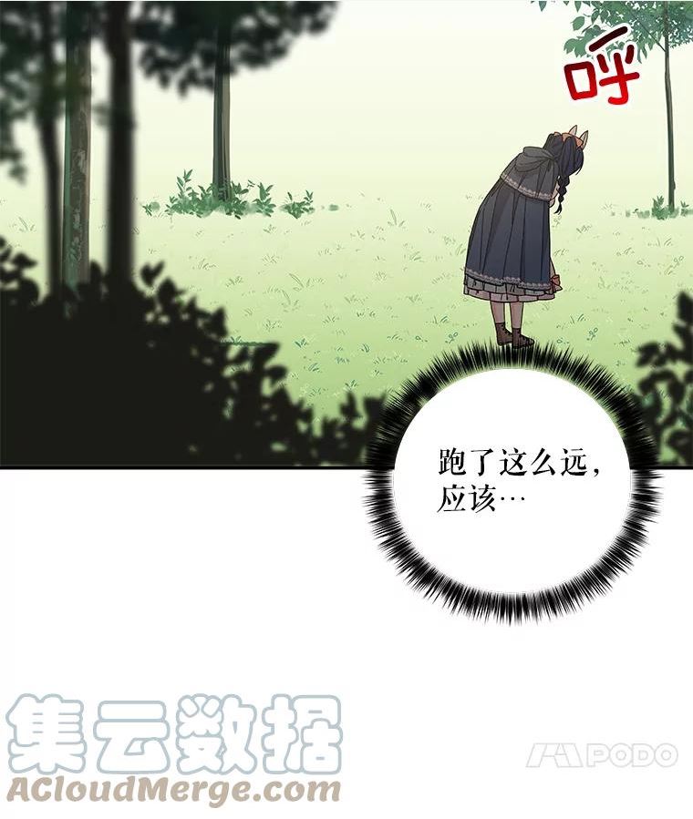 大魔法师的女儿漫画,116.引开敌人40图