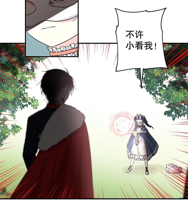 大魔法师的女儿漫画,116.引开敌人45图