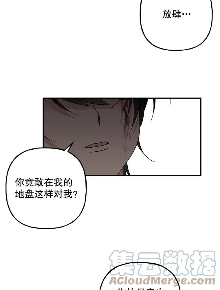 大魔法师的女儿漫画,116.引开敌人52图