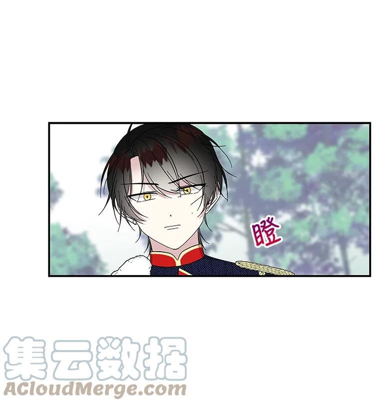 大魔法师的女儿漫画,116.引开敌人88图