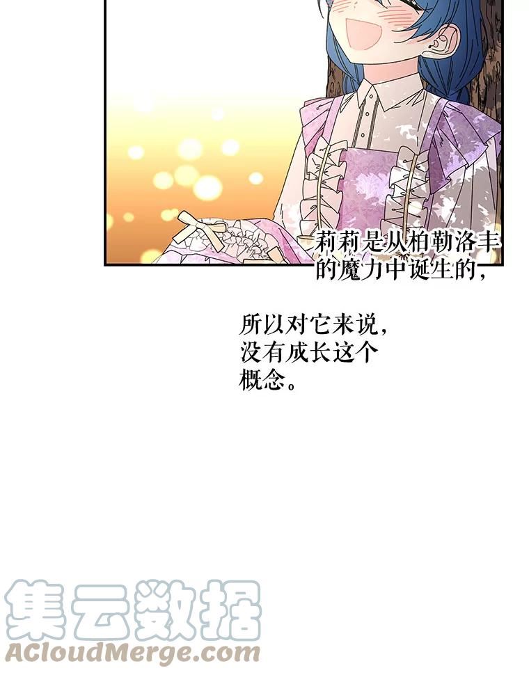 大魔法师的女儿免费奇妙漫画漫画,146.匆匆几年37图