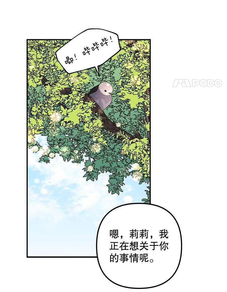 大魔法师的女儿免费奇妙漫画漫画,146.匆匆几年39图