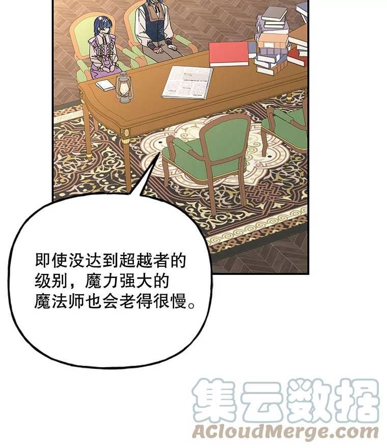 大魔法师的女儿免费观看漫画,147.熟悉的魔力52图