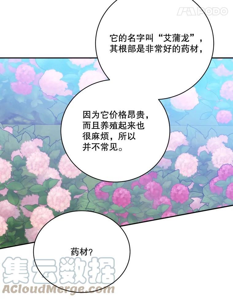 未来每步都是花路免费阅读漫画,49.皇帝的礼物45图