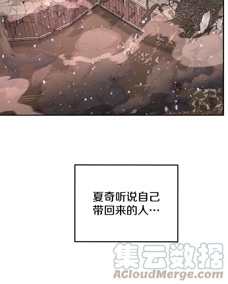 今天开始当杀手在线播放漫画,55.族长的计划117图