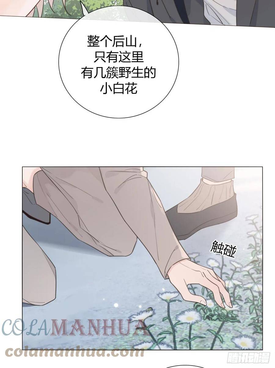 糖分不高的米酒漫画,47 埋尸地点11图