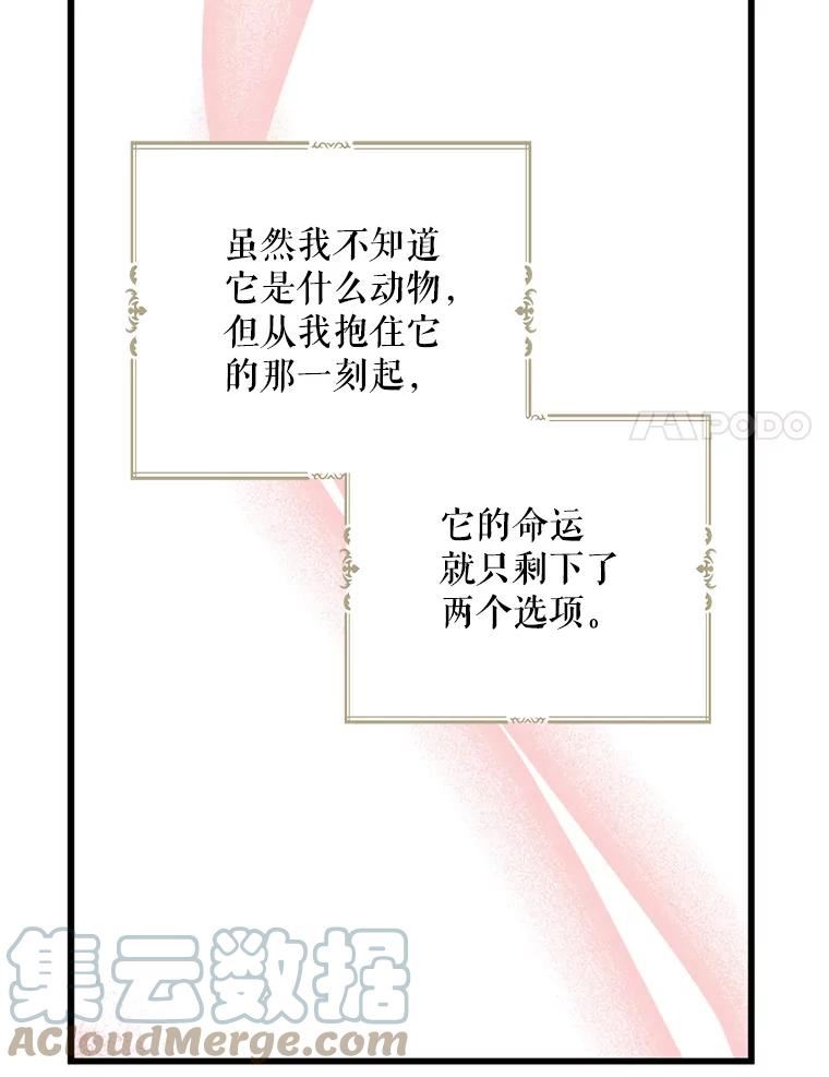 请张嘴金汤匙来了漫画漫画,33.离开大教堂（2）43图