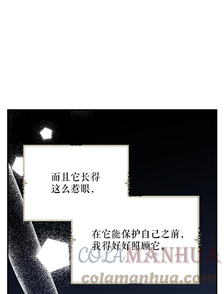 请张嘴金汤匙来了漫画漫画,64.刺伤诺艾拉117图